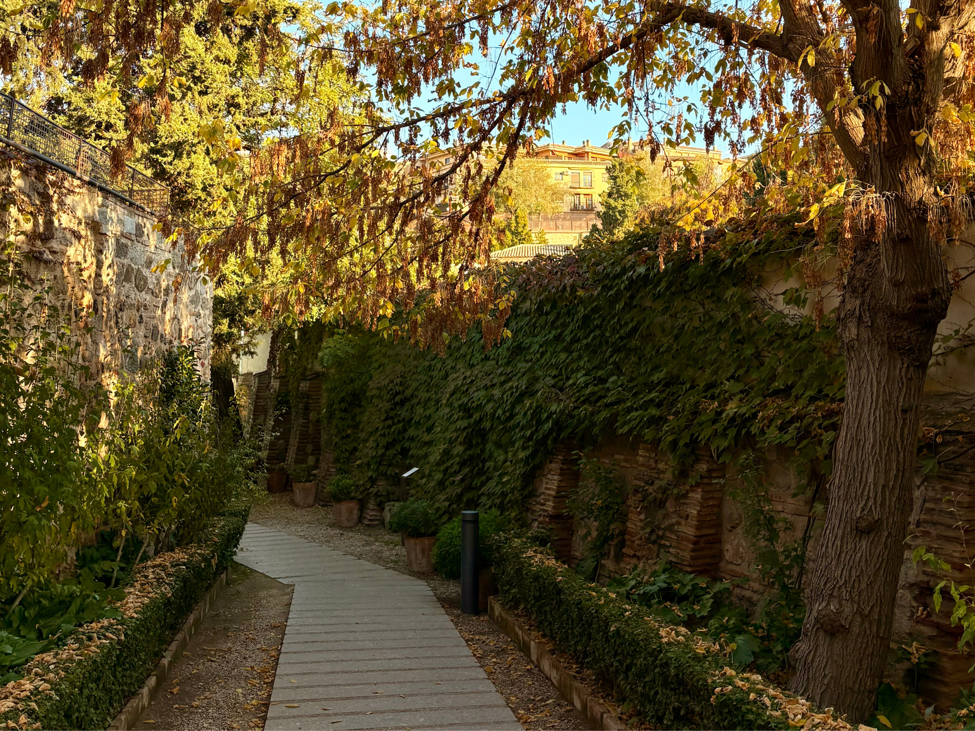 What to Do in Madrid in the Fall: Travel Guide